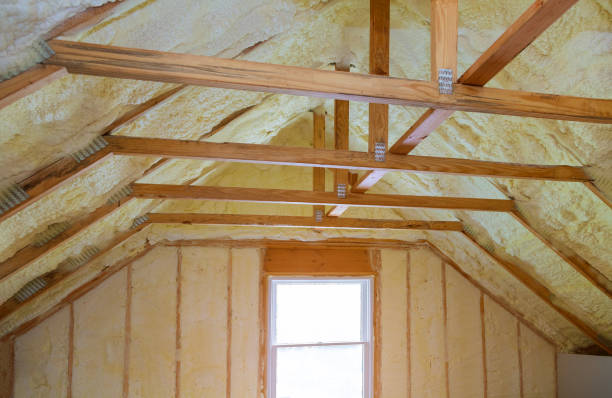 Best Residential Insulation in Blakely, GA